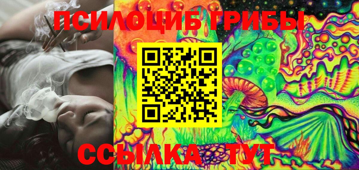 Черногорск  Псилоцибиновые грибы прущие грибы  Псилоцибиновые грибы Magic Shrooms  Вход с VPN 