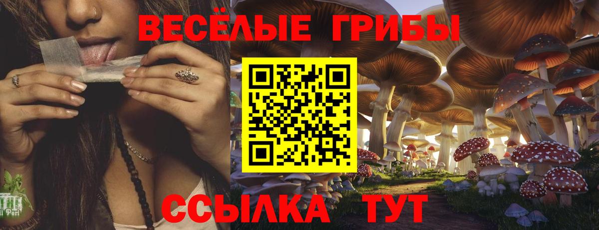 Псилоцибиновые грибы мухоморы Черногорск